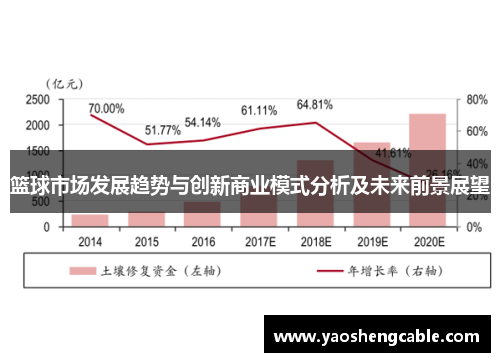 篮球市场发展趋势与创新商业模式分析及未来前景展望